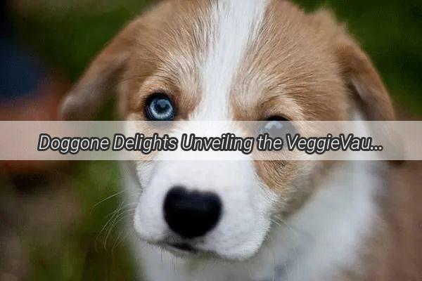 Doggone Delights Unveiling the VeggieVault for Your Furry Friend